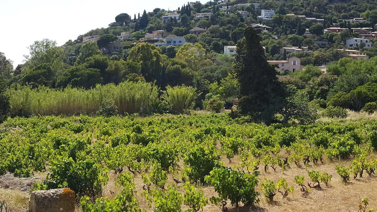 Les Iles D' Or Appartement Bormes-les-Mimosas Apartamento